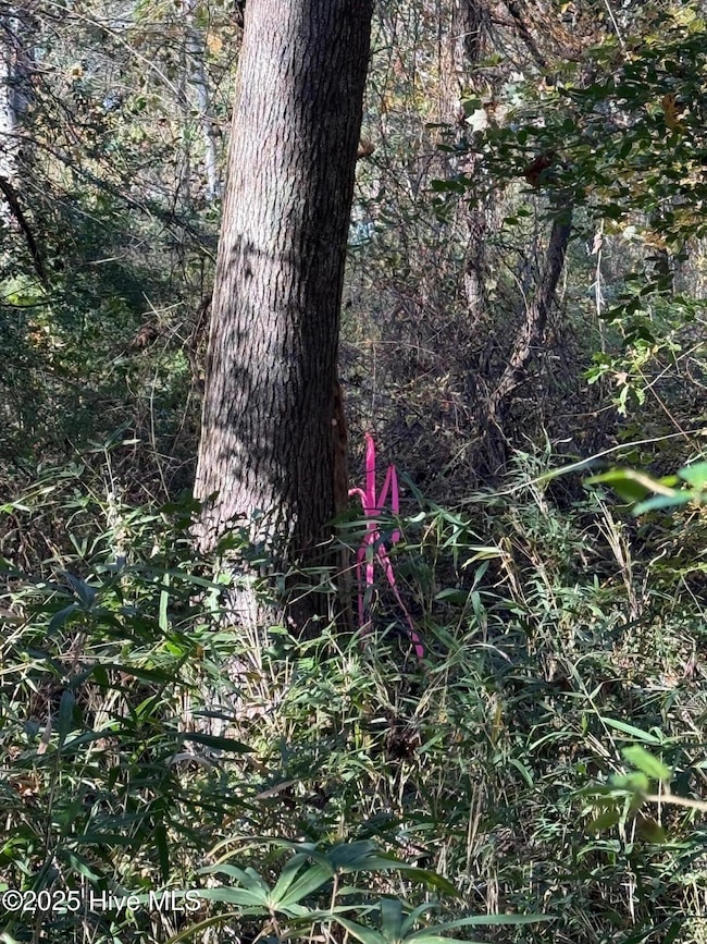 Lot 1 Alton Phillips Rd, Kinston, NC 28504 - photo 6