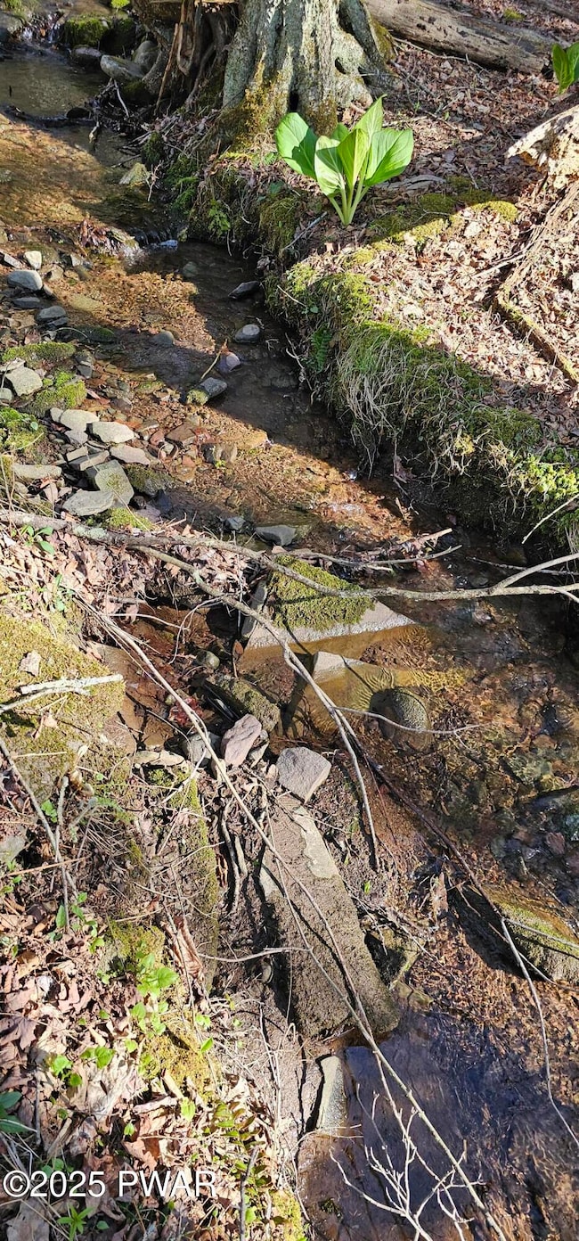 Lot 85 Perry Pond Rd, Tusten, NY 12764 - photo 6