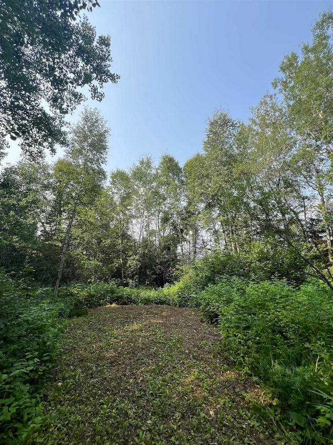 5445 Little Marais Rd, Finland, MN 55603 - photo 7