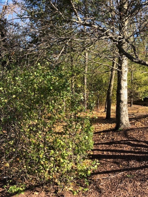 6503 Clarendon Hills Rd, Willow Brook, IL 60527 - photo 3