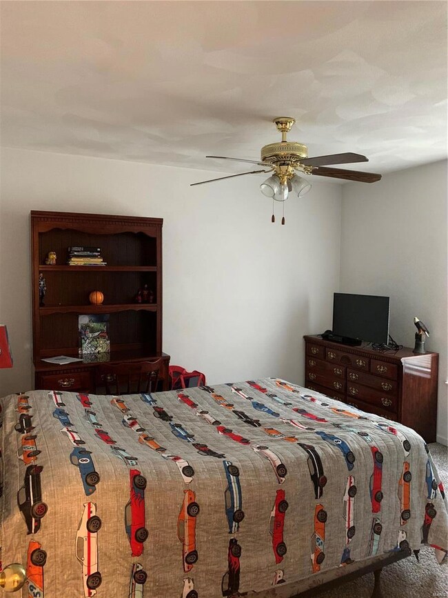 504 Draco Dr unit 504/506, Freeburg, IL 62243 - photo 4