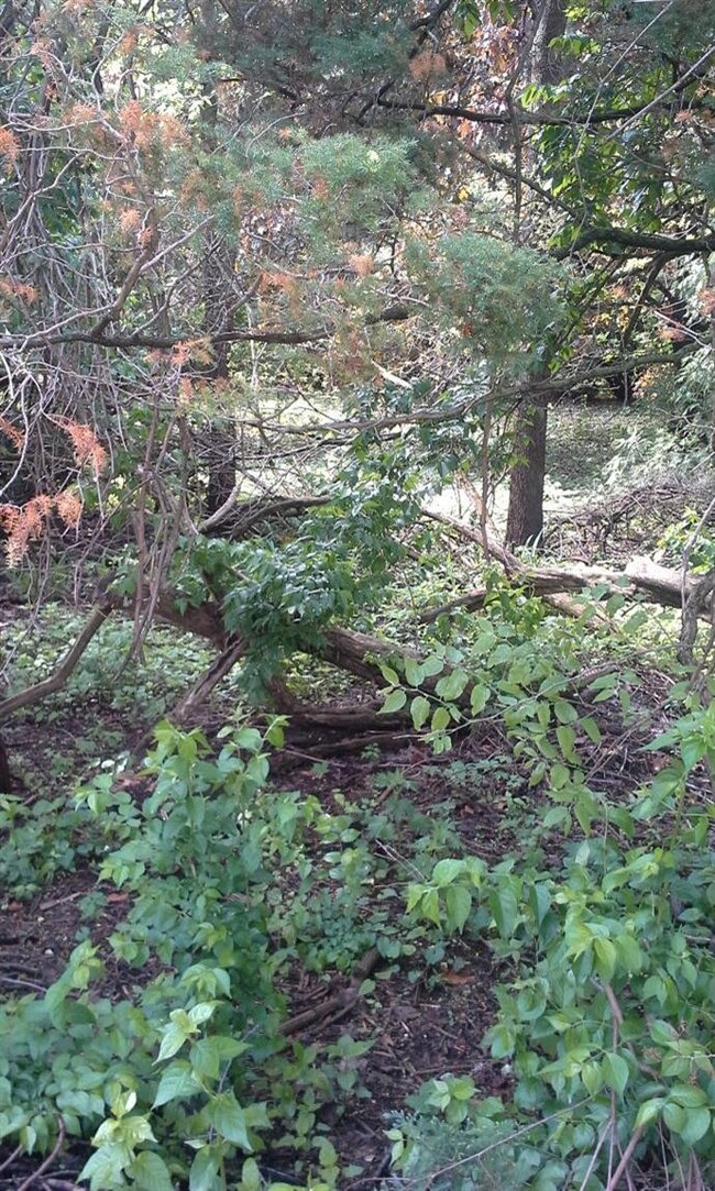 0 N 600 E unit 351117, Rolling Prairie, IN 46371 - photo 4