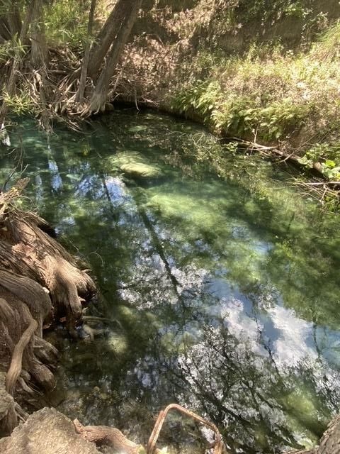 82 Private Road 3800, Utopia, TX 78884 - photo 6