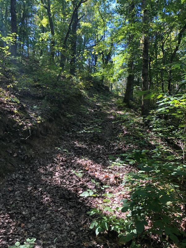 PATH TO THE WATER
