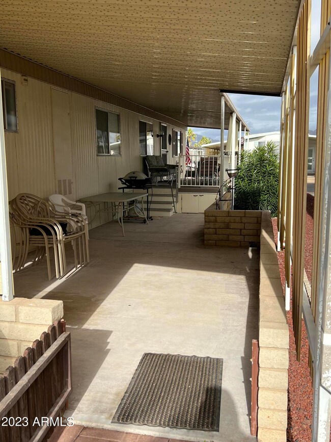 back area