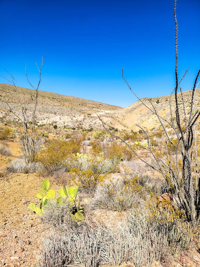 104 Tanque Caballo, Terlingua, TX 79852 - photo 3