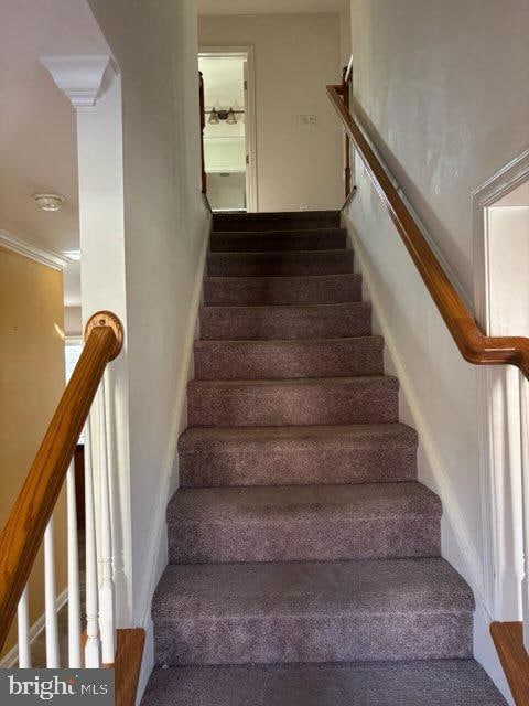 4719 River Creek Terrace, Beltsville, MD 20705 - photo 2