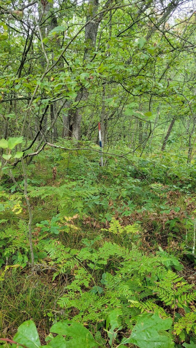 9413 N Northwoods Trail, Brohman, MI 49312 - photo 3