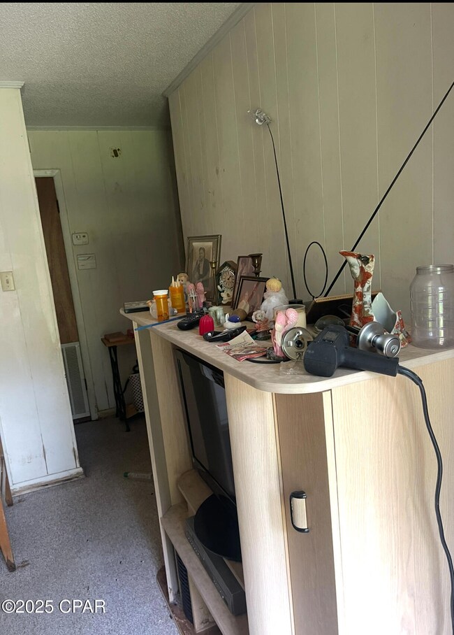 1184 Farmer Rd, Chipley, FL 32428 - photo 6