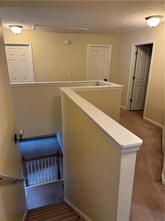Stairs featuring attic access, carpet flooring, and a textured ceiling