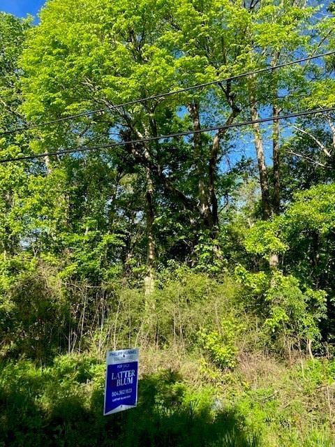 0 Stanton Rd, New Orleans, LA 70131 - photo 6