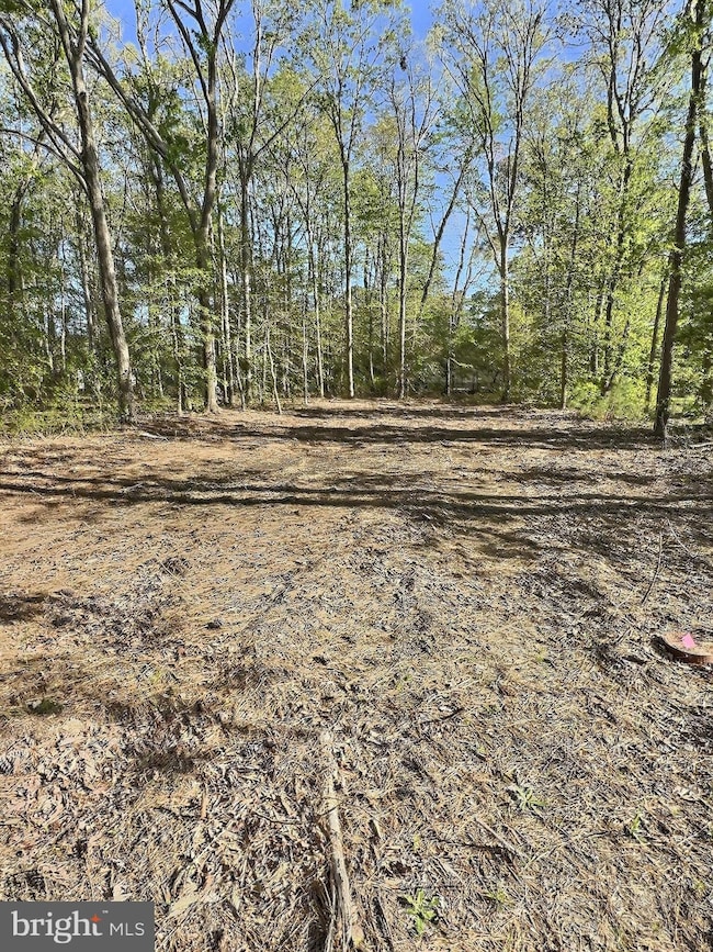 0 Shady Dell Park Birch unit DESU2100980, Frankford, DE 19939 - photo 4