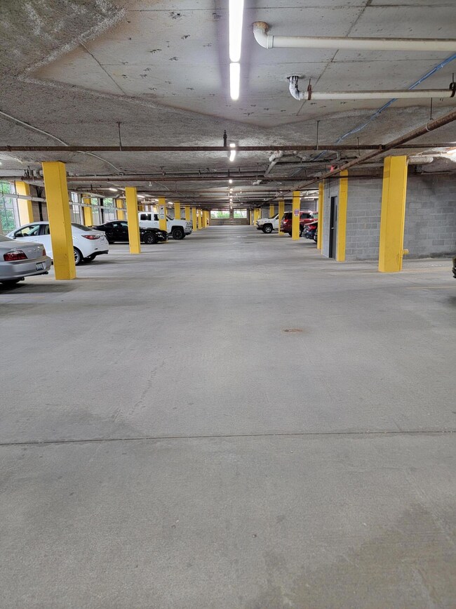 photo_4914515317903026791