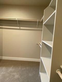 mst walk in closet