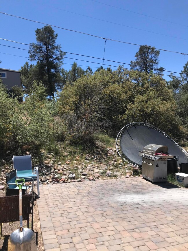 rear bbq area