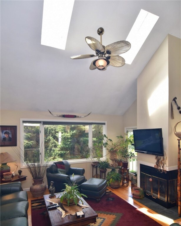 Skylights in living room