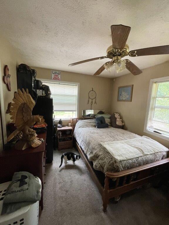 10115 Range Line Rd, Berrien Springs, MI 49103 - photo 6