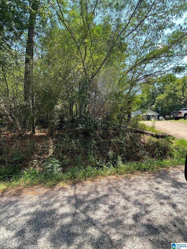 3449 Honeycutt Rd unit 123, Adamsville, AL 35005 - photo 5