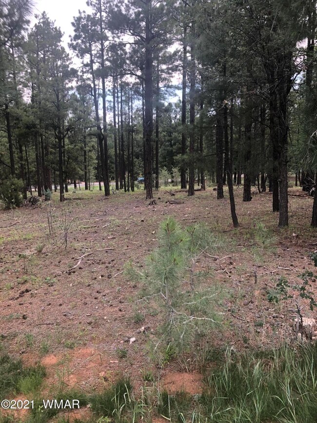 From golf course looking at property