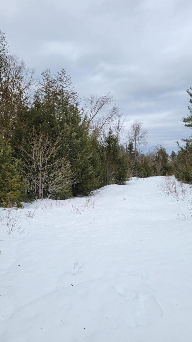Map 12 Lot 24 (6)