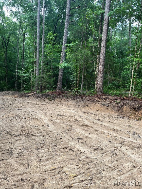 196 Venable Ct, Wetumpka, AL 36092 - photo 5