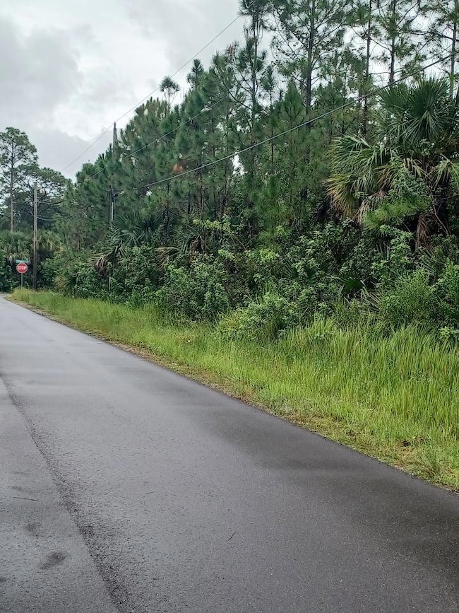 none Fellenz St Sw Fitpatrick Ave SW, Palm Bay, FL 32908 - photo 3