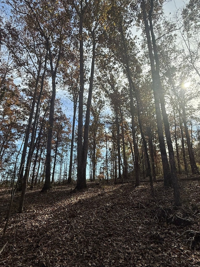 9654 State Road S-36-58, Kinards, SC 29355 - photo 6