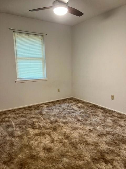 3209 S Fredonia St, Nacogdoches, TX 75964 - photo 6