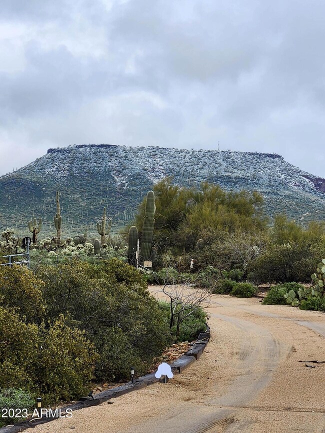 table mesa snow