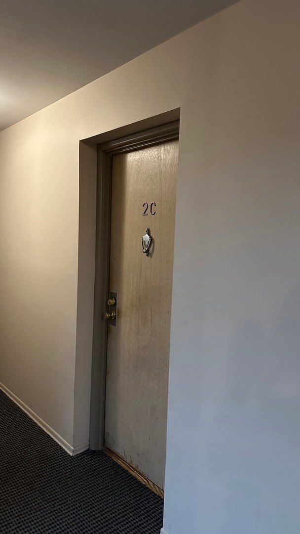 8245 Belmont Ave unit 2C, River Grove, IL 60171 - photo 5