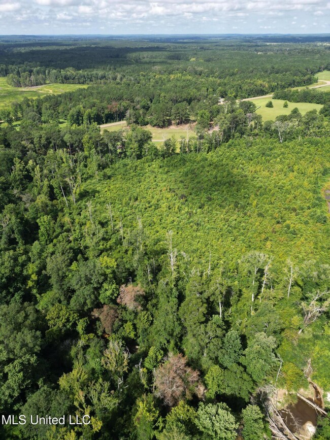 00 Johns Shiloh Rd, Brandon, MS 39042 - photo 5