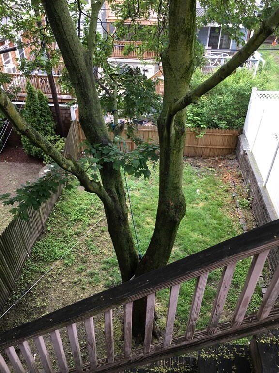 53 Gates St unit 1, Boston, MA 02127 - photo 7