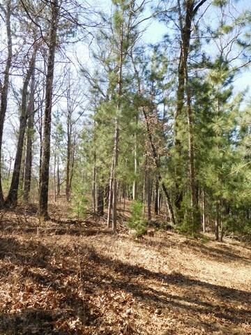 0 Hayden Lake Rd unit 1517380, Danbury, WI 54830 - photo 6