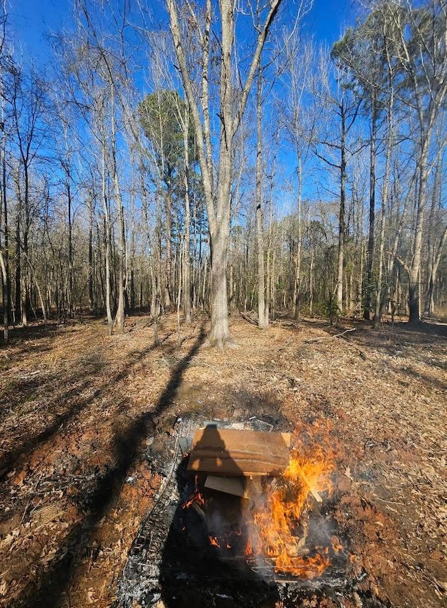 152 County Road 4247, Pittsburg, TX 75686 - photo 2