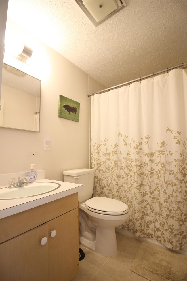 18 Davos Way unit 15, Waterville Valley, NH 03215 - photo 7
