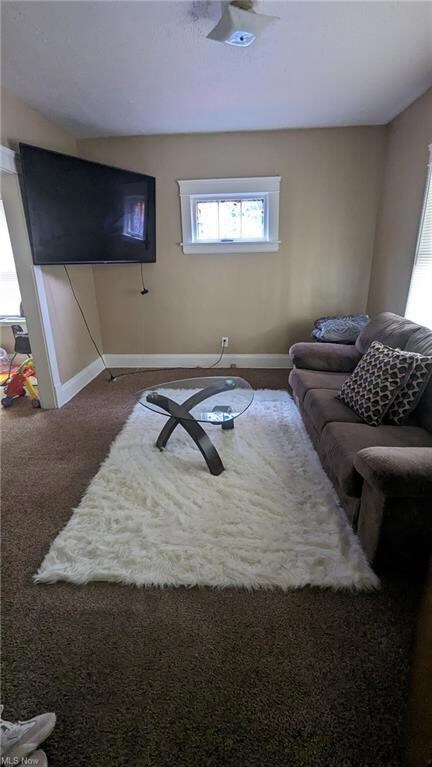 Living room with carpet flooring