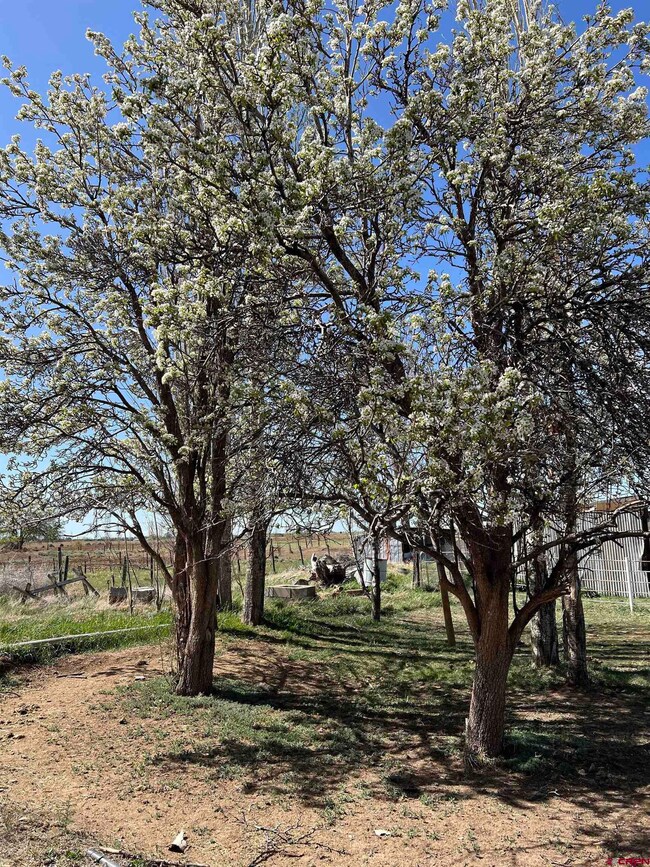 15247 Road 22, Dolores, CO 81323 - photo 2