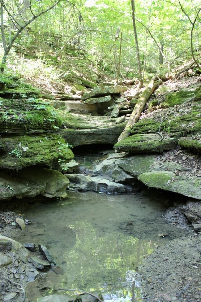 0 Pummill Rd, Fayetteville, AR 72701 - photo 4