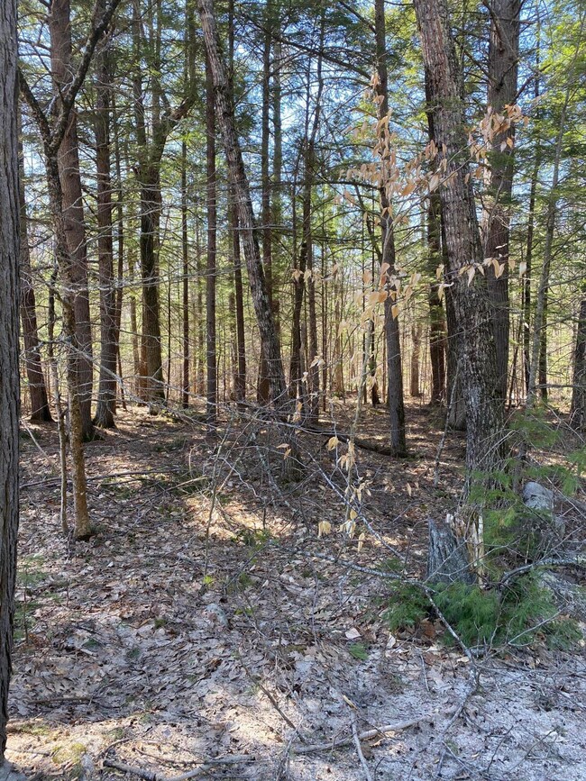 Lot 64 Knights Hill Rd, Bridgton, ME 04009 - photo 4