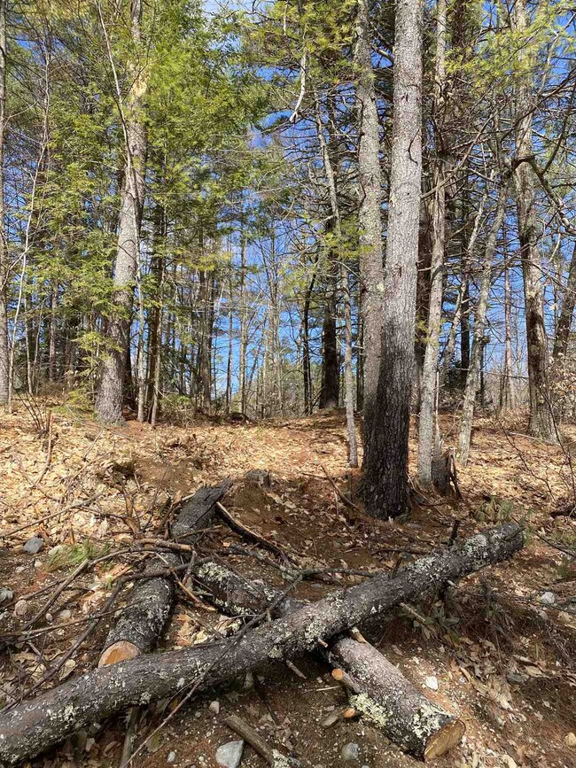 9 Jude Blvd, Ossipee, NH 03864 - photo 5