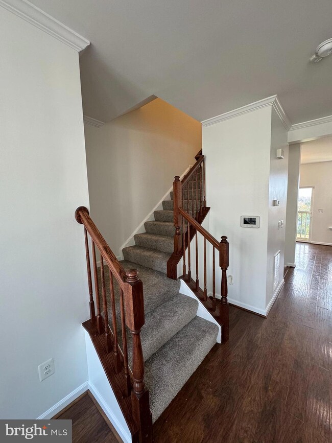 245 Schramm Loop, Stephens City, VA 22655 - photo 6