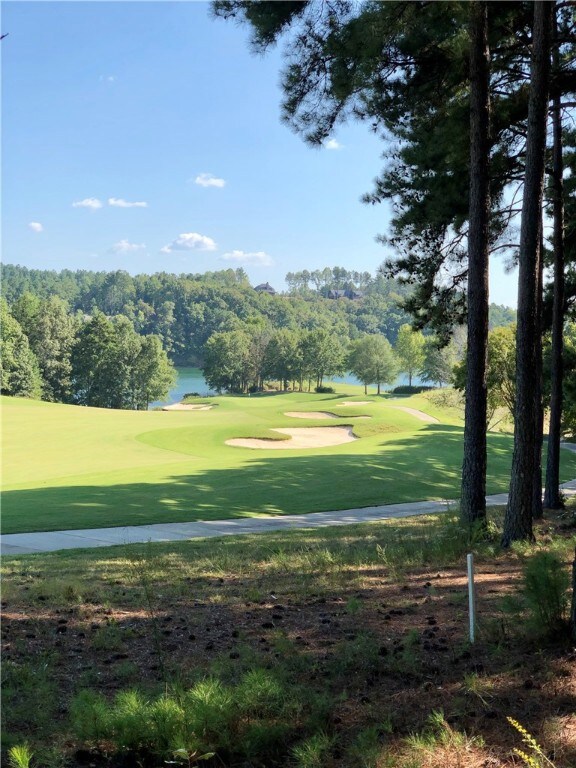 view from rear property line
