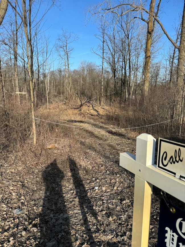 14551 Algoma Ave NE, Cedar Springs, MI 49319 - photo 6