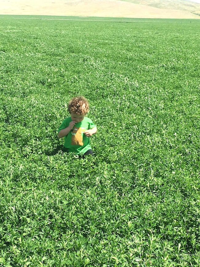 TBD Old Hwy, Midvale, ID 83645 - photo 5