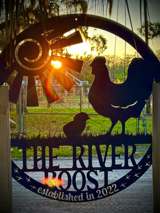 33 SE 217th St, Old Town, FL 32680 - photo 6