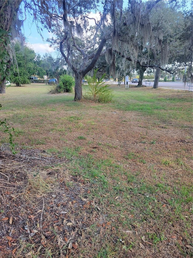 0 Bloomingdale Ave, Riverview, FL 33578 - photo 7