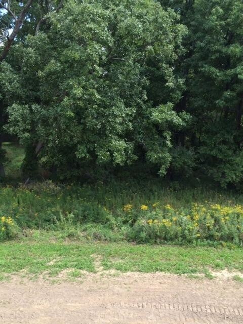 5790 Libby Ct, Dexter, MI 48130 - photo 4