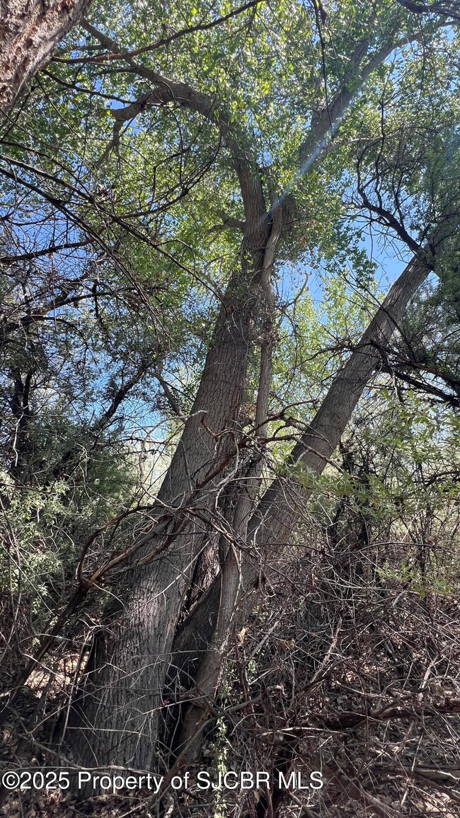XX Palomino Ln, Bloomfield, NM 87413 - photo 2