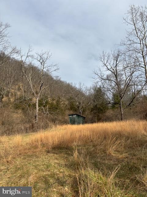 866 Wildlife Dr, Lost City, WV 26810 - photo 6