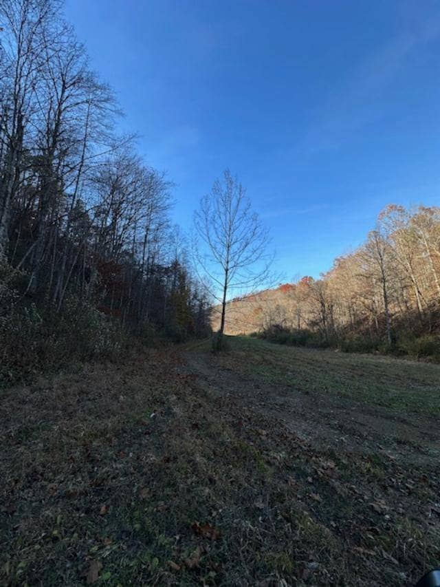 500 Beechmont Rd, Sandy Hook, KY 41171 - photo 6